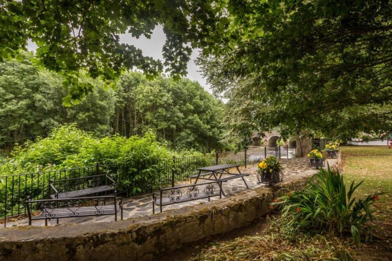 Green walkway with benches