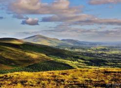 Blackstair Evening