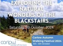 Blackstairs Mountains