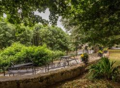Green walkway with benches