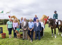 Horse and Group in Field