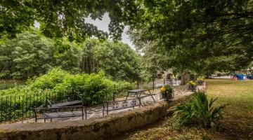 Green walkway with benches